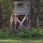 An elevated deer stand